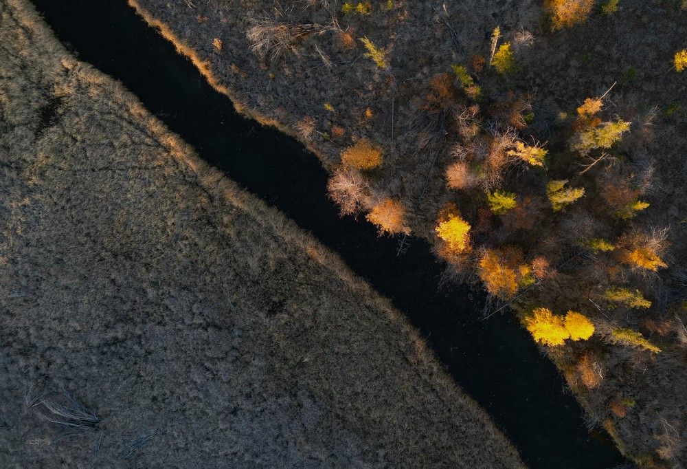 Photograph by Светлана Полякова