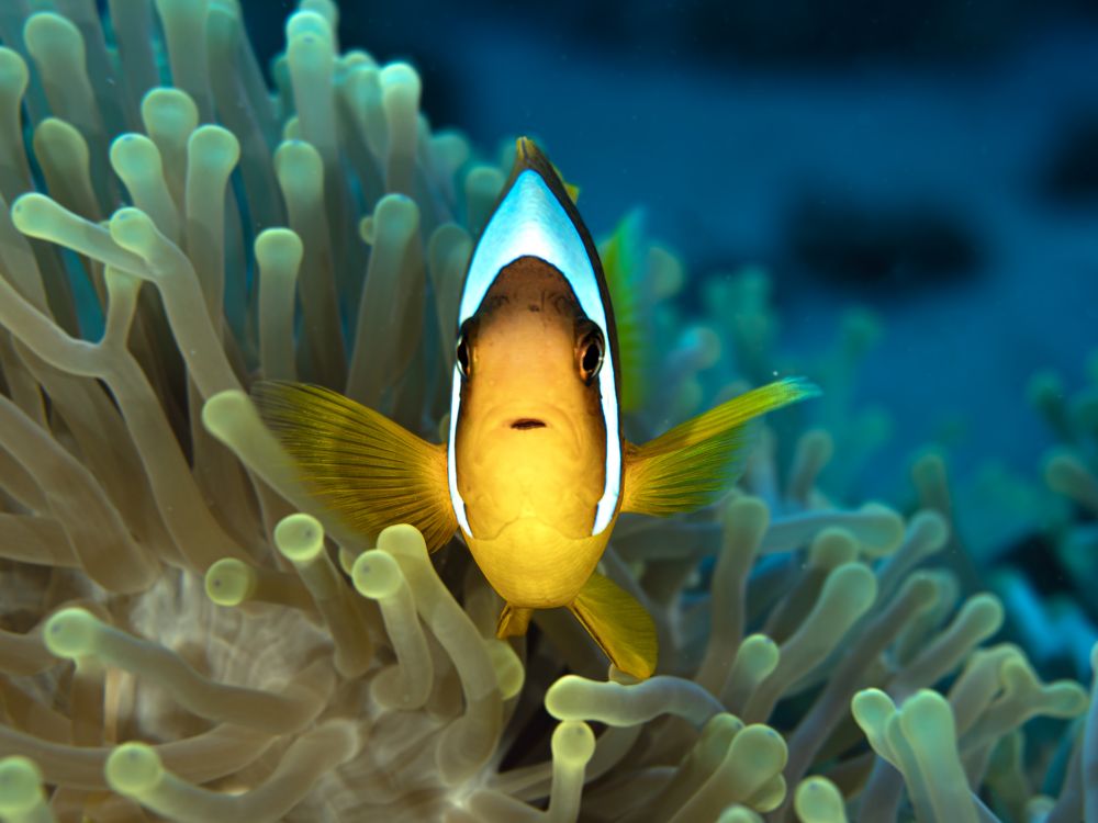 Photograph by JUAN M GUZMÁN