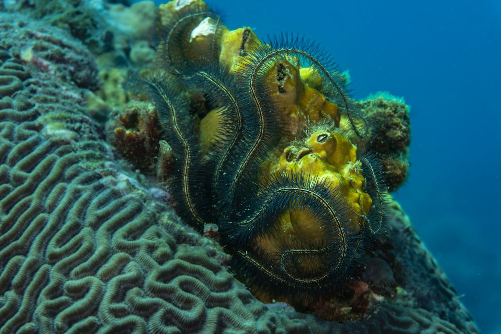 Photograph by JUAN M GUZMÁN