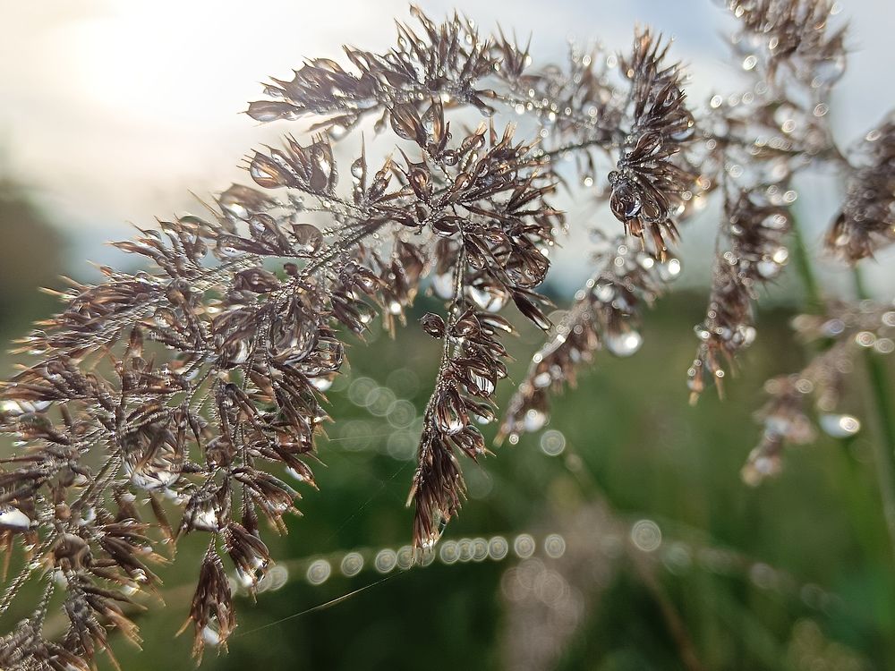 Photograph by Светлана Кондрашова