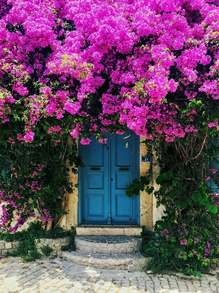 Photograph by Татьяна Шевелева