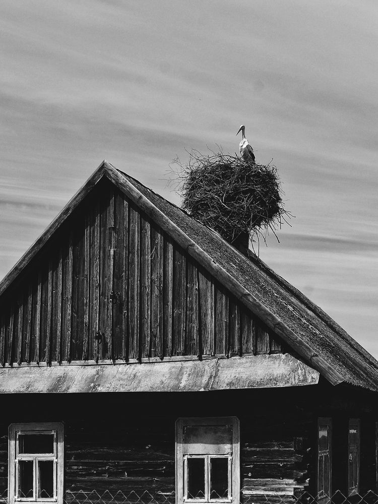 Photograph by Оксана Борисевич