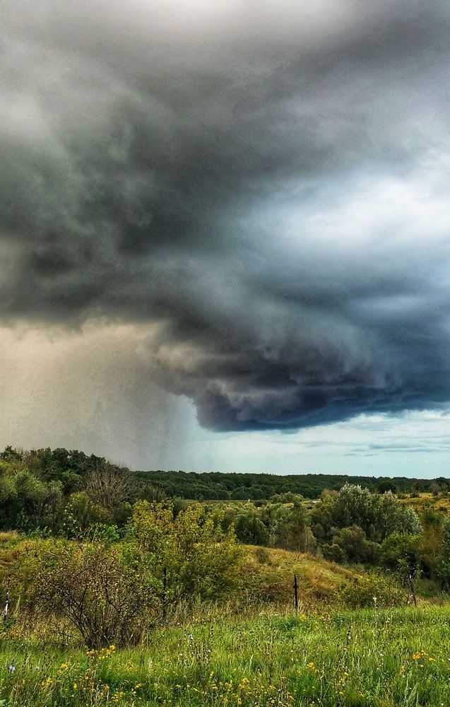 Photograph by Любовь Колмакова