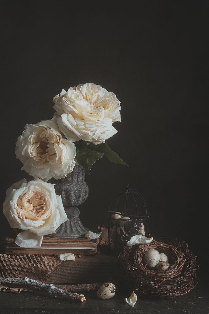 Фотография автора Виктория Шаманова