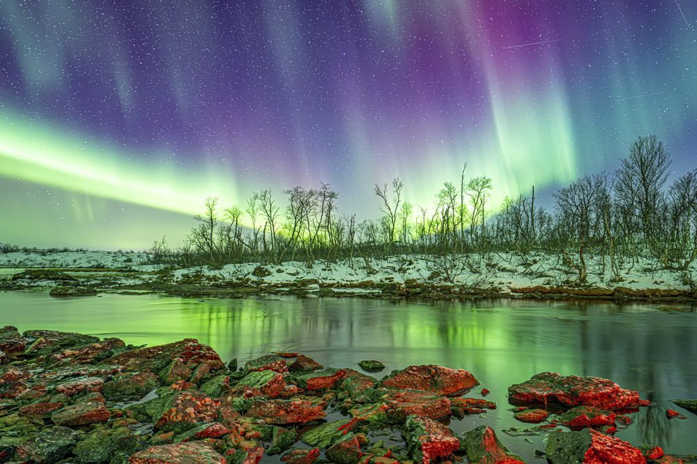 Фотография автора Sergio Molfino