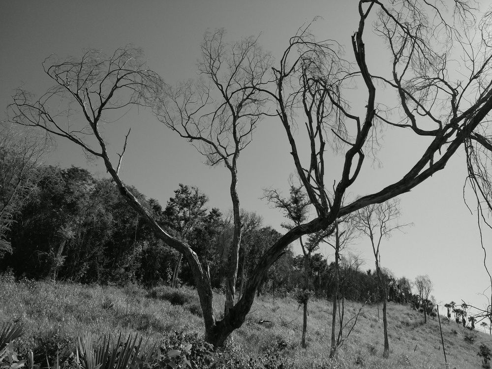 Photograph by Carlos Cervera