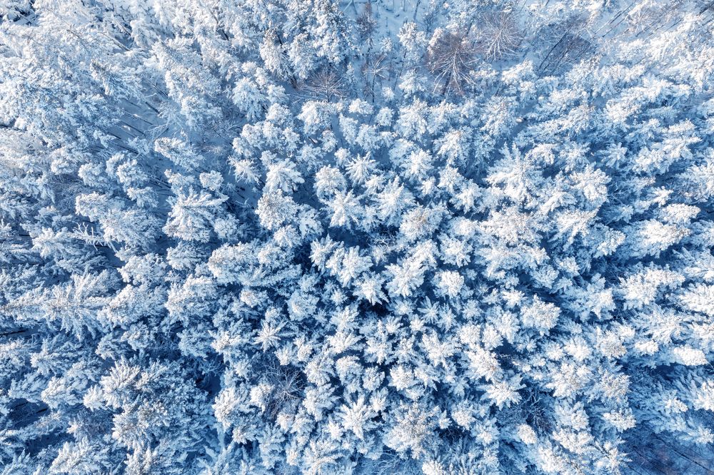 Photograph by Вероника Романенко