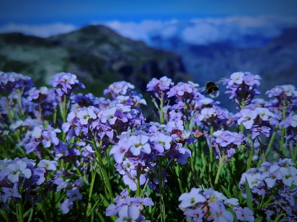 Photograph by Diana Kozlova