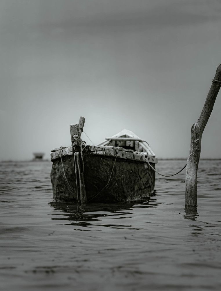 Photograph by Selvakumar Aradanan