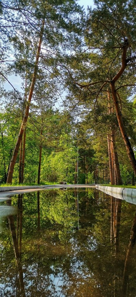 Фотография автора Регина Цыганова