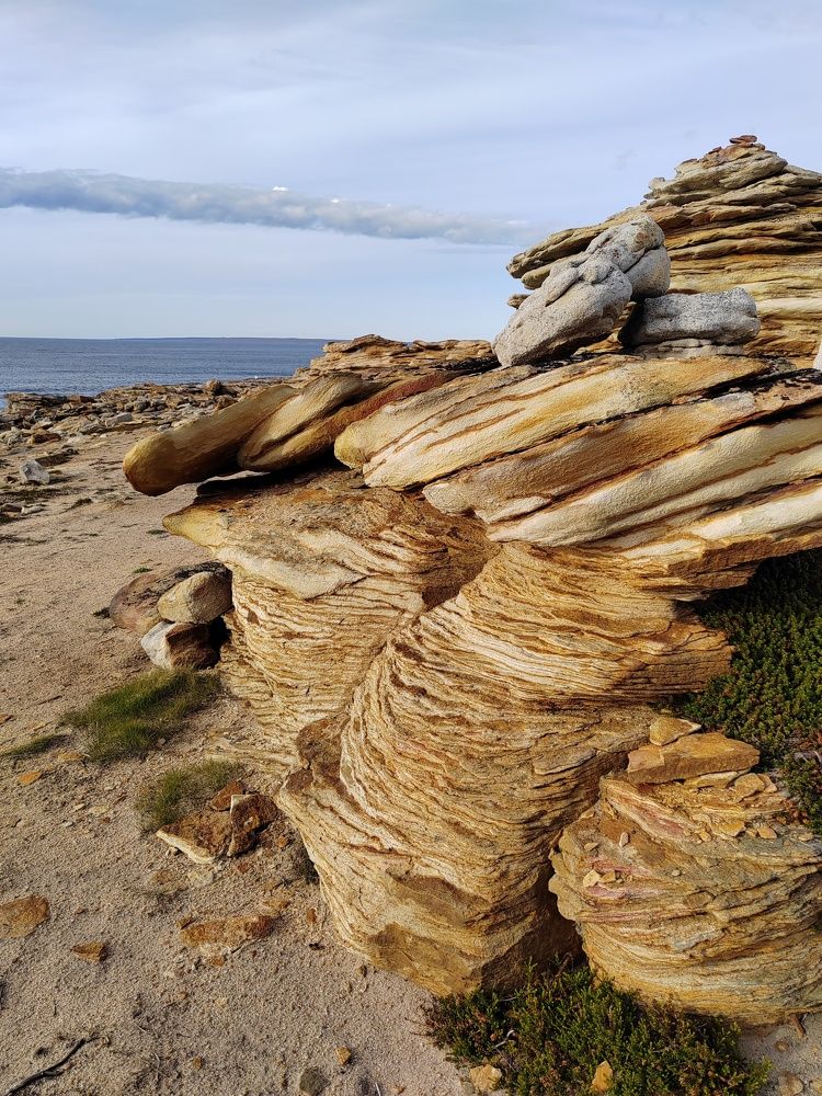 Photograph by Елена