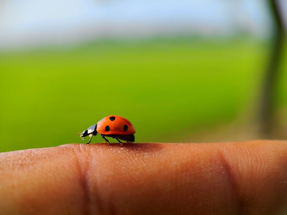 Photograph by Shahid Siyal