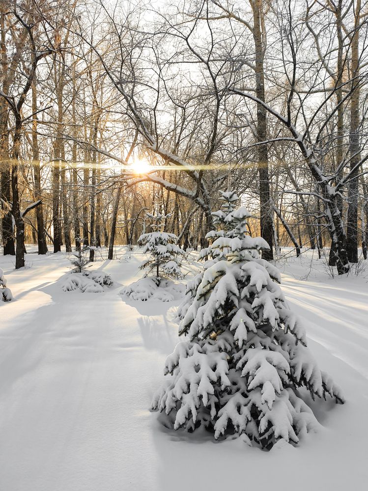 Photograph by Елена Димова