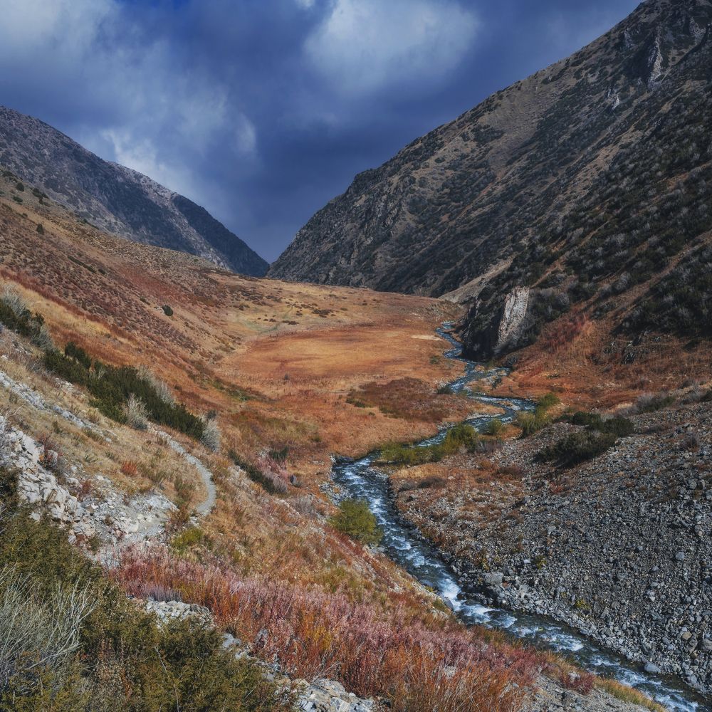 Photograph by Александр Корчагин