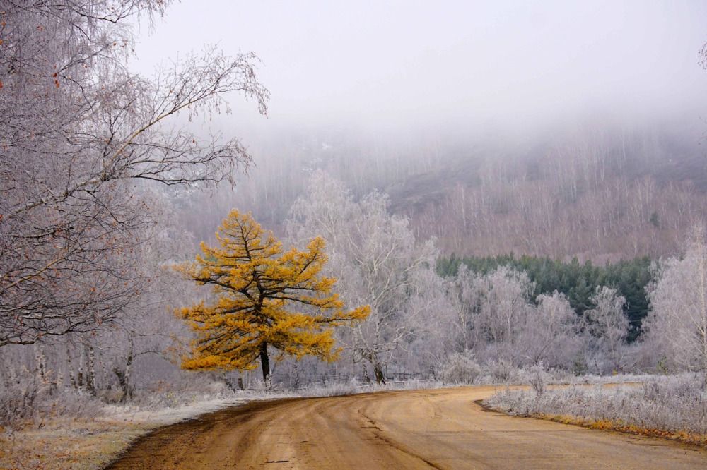 Рыжая красотка