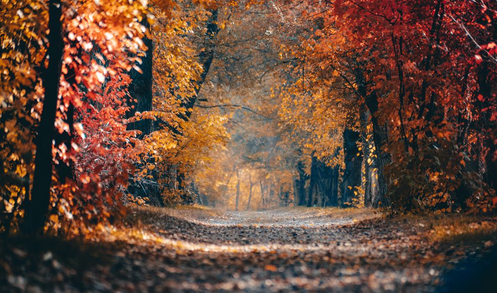 Photograph by Konstantin