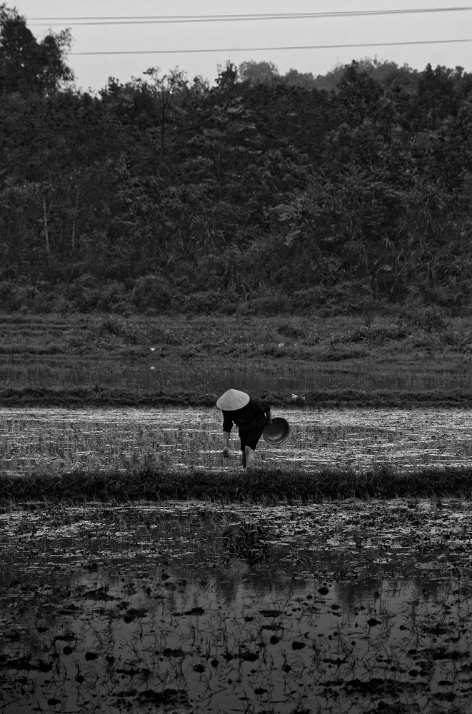 Фотография автора Nguyễn Minh