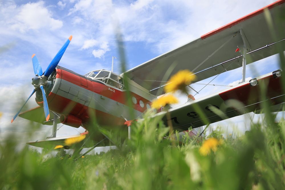 Photograph by Aleksandra