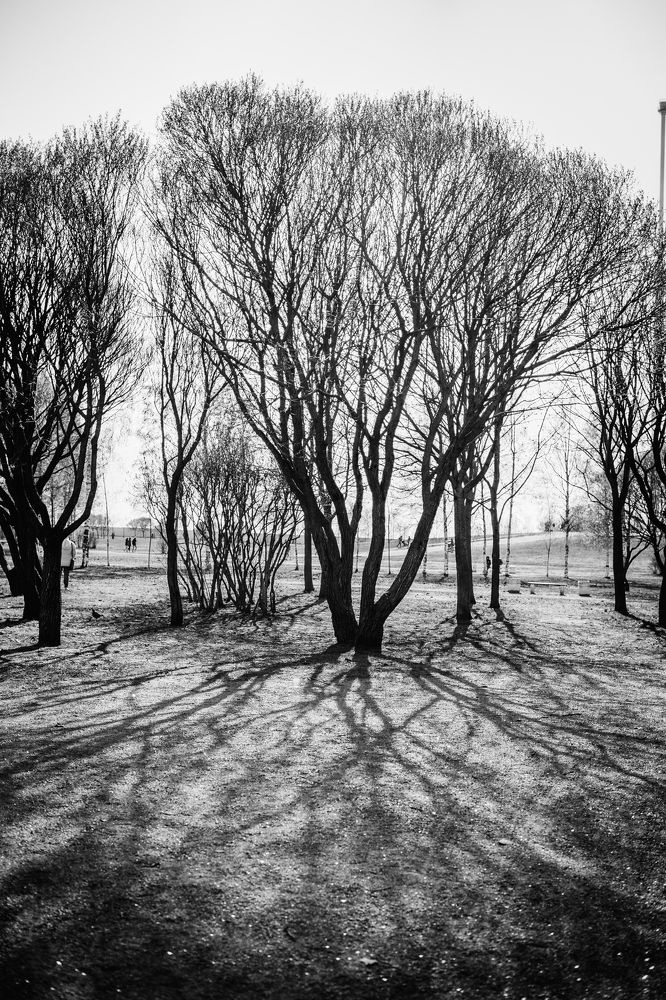 Photograph by Olesya Mikhailova