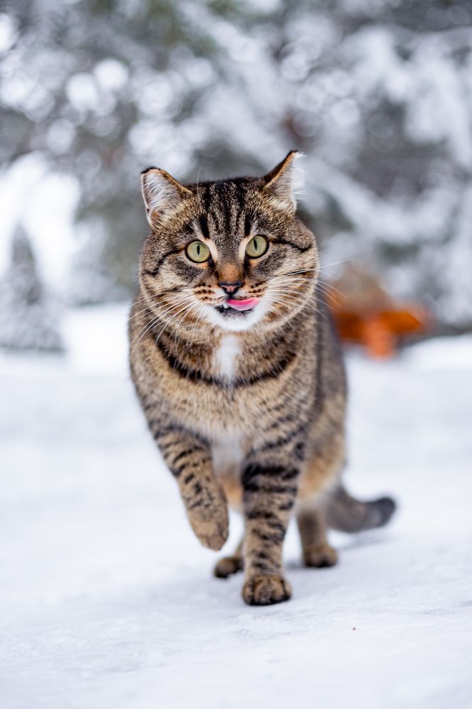 Photograph by Олеся Лесная