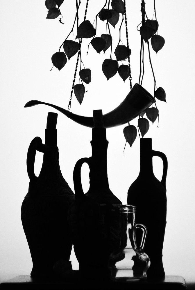 Photograph by 