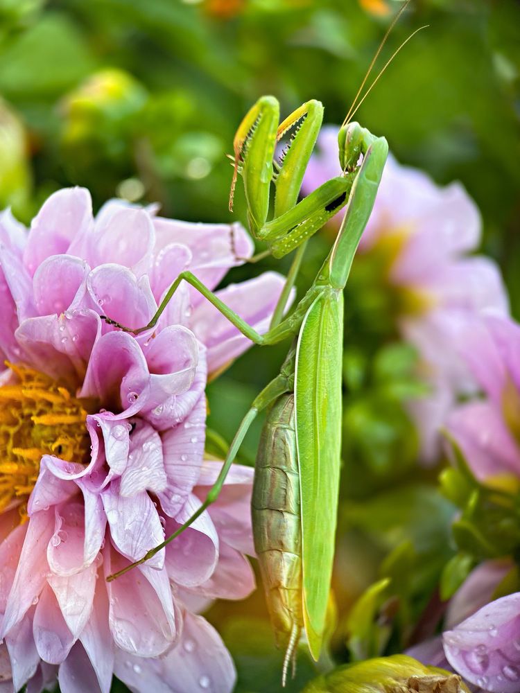 Photograph by Александра Гонтарь