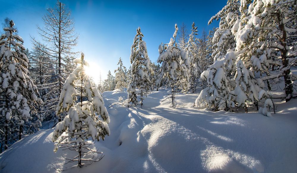 Photograph by Vladim Bormotov