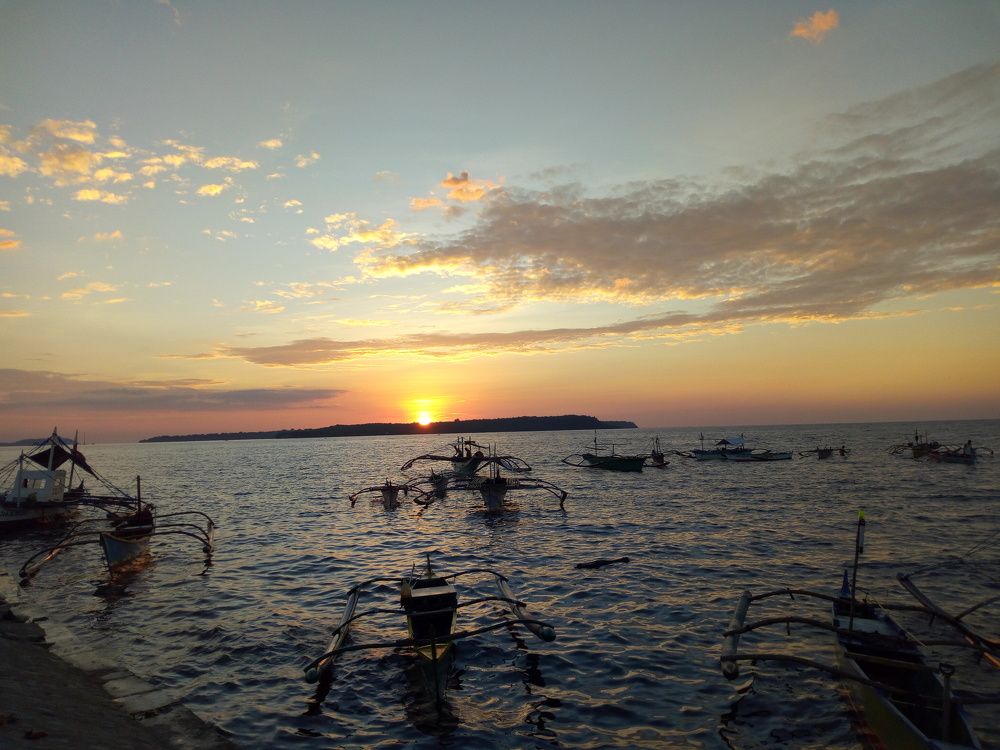 Photo #10252748