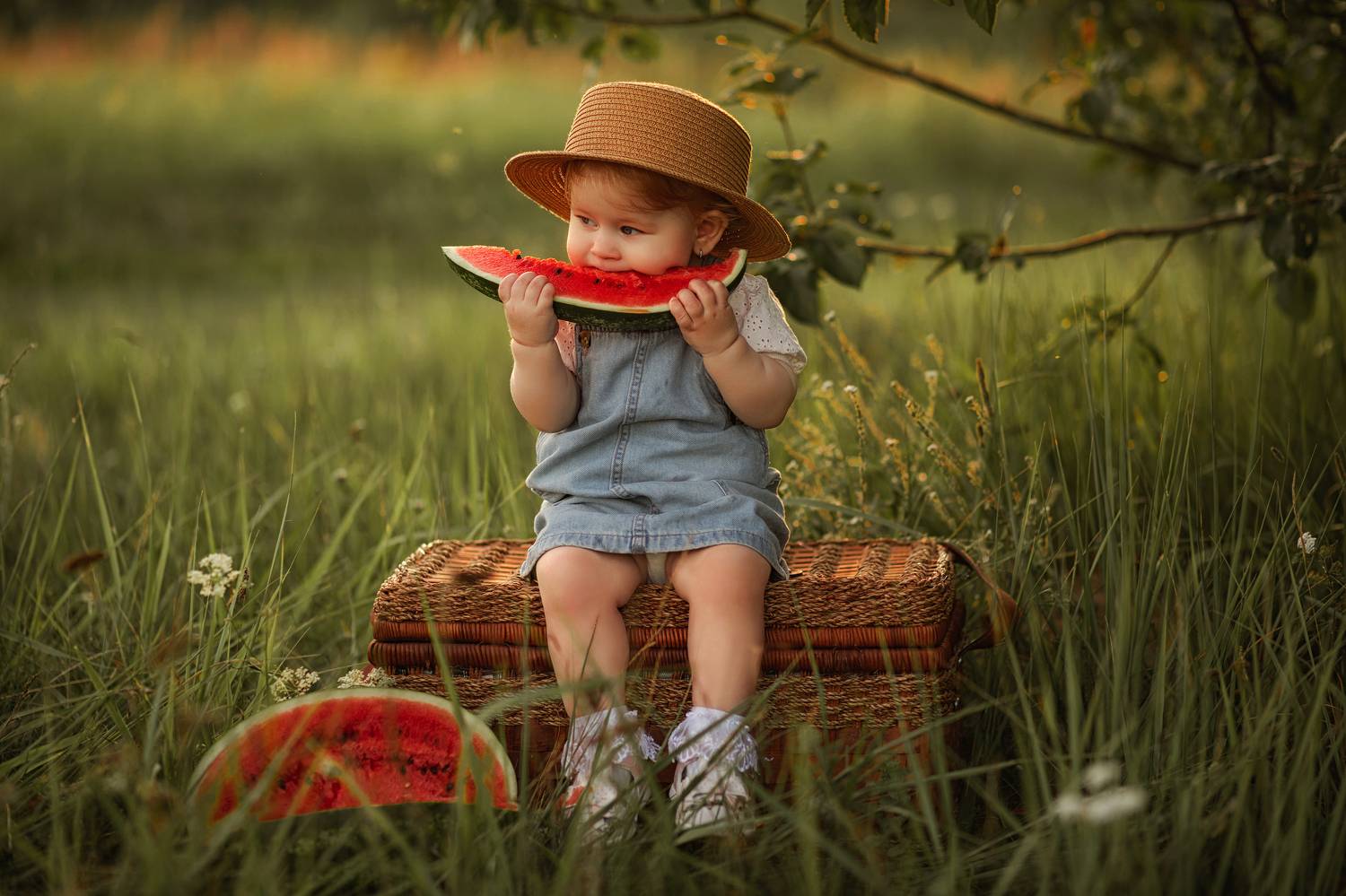 Фотография #10252816