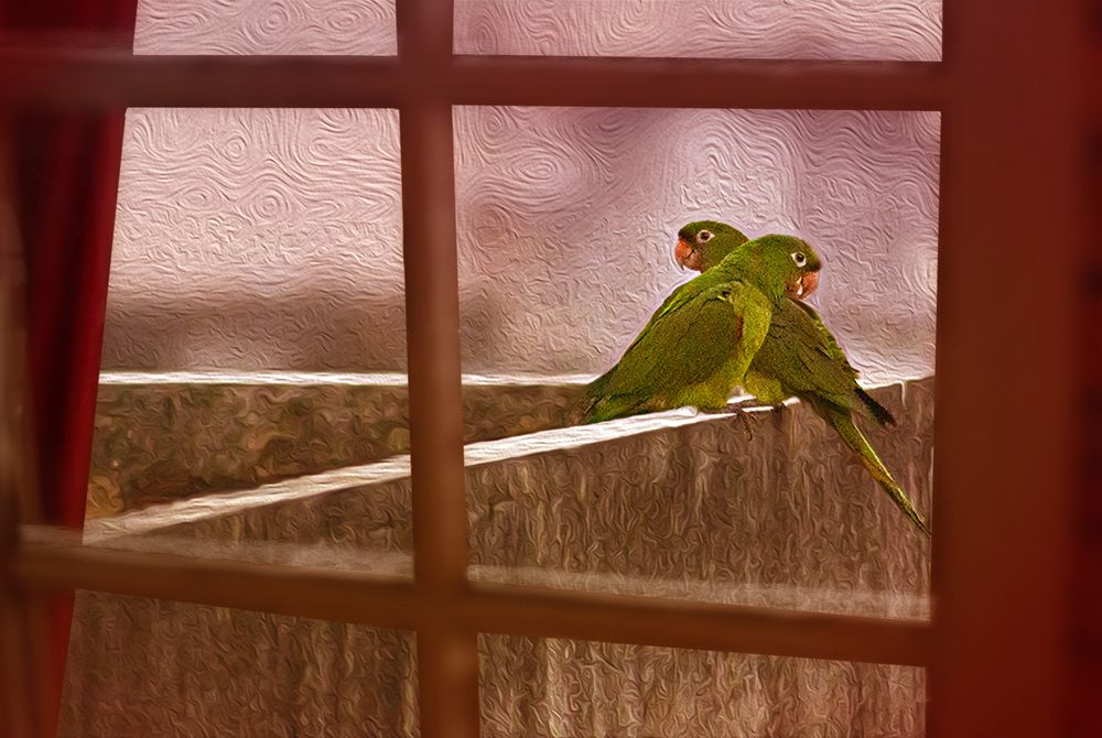 Photograph by Edillane Abreu