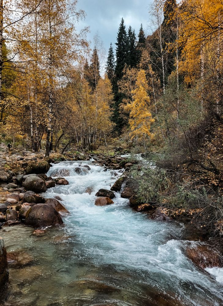 Photograph by Анна Чичилова