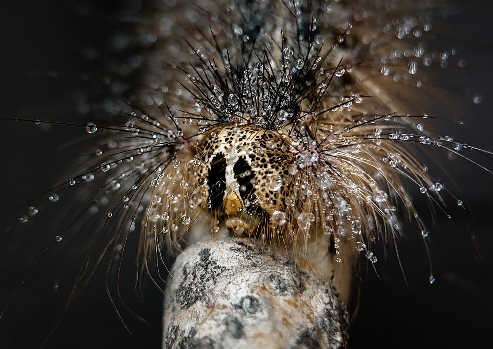 Photograph by Анна Чичилова