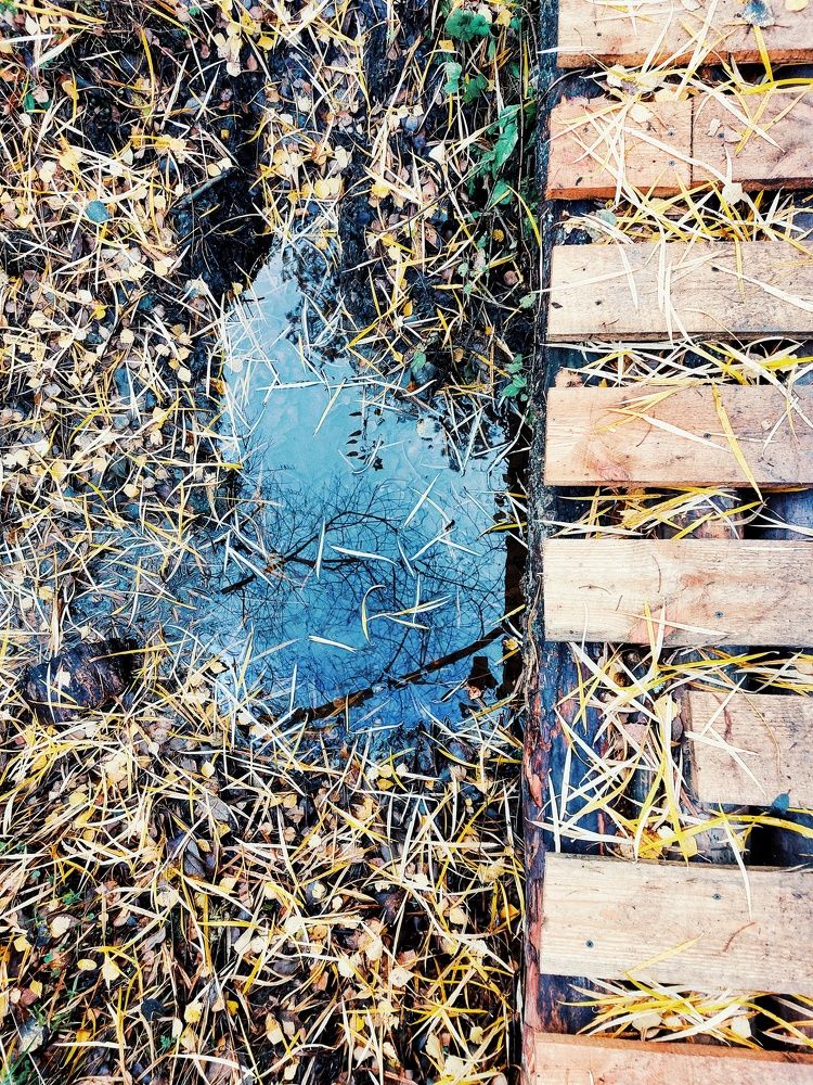 Photograph by Ксения Цветкова