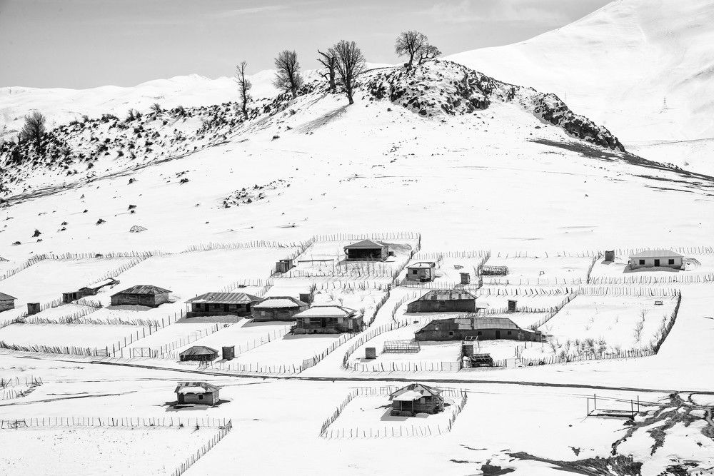 Фотография автора Qmars Khoshsefat