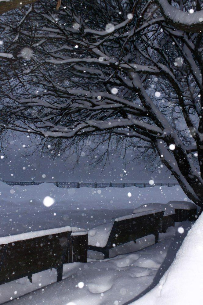 Photograph by Ekaterina