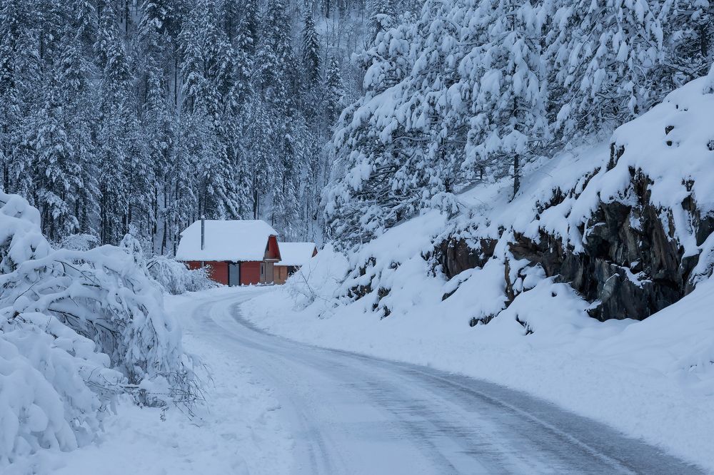 Winter Road | Зимняя дорога. 2023