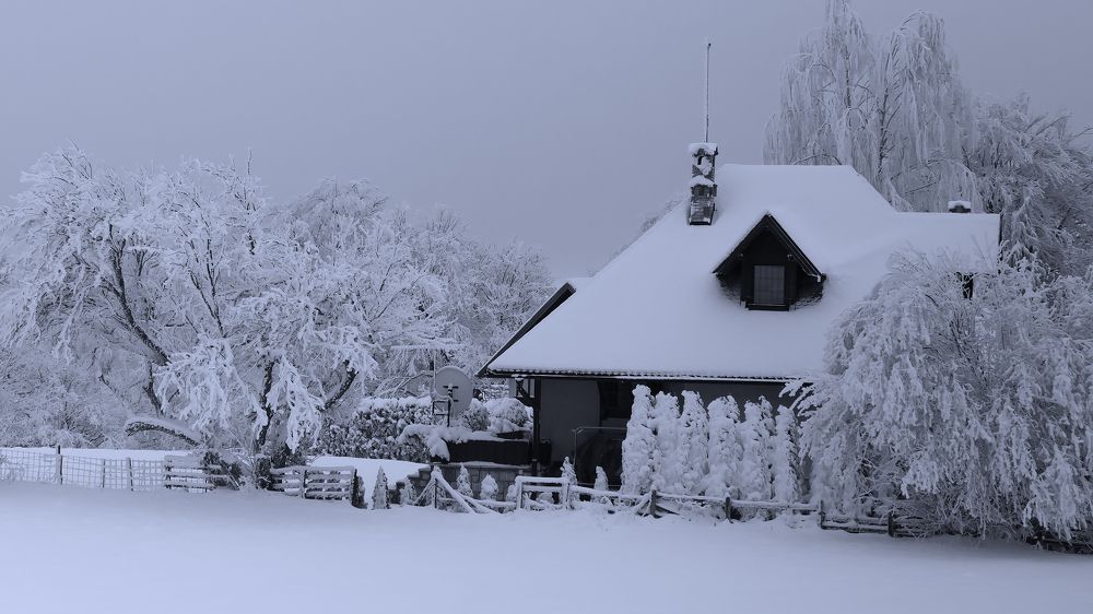 First snow | Первый снег. 2023