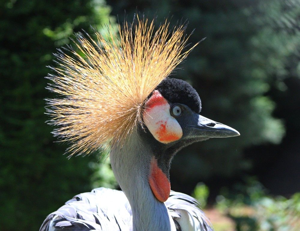 Photograph by Galina Tsmyg