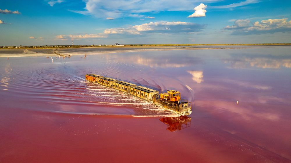 Фотография автора Totoro D