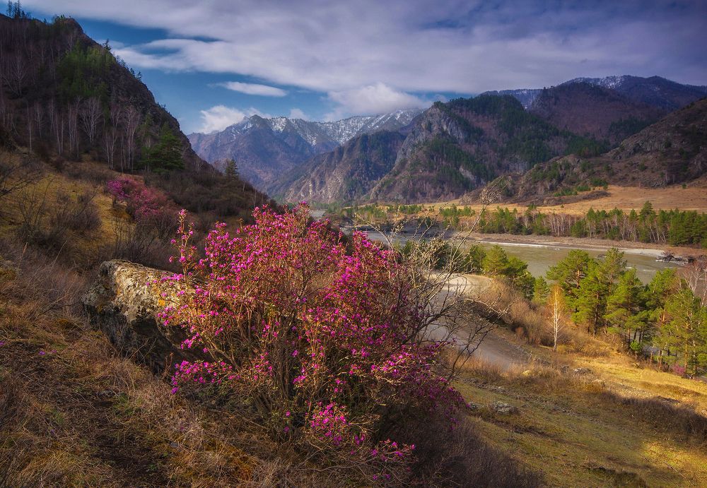 Photograph by Чичкин Валерий