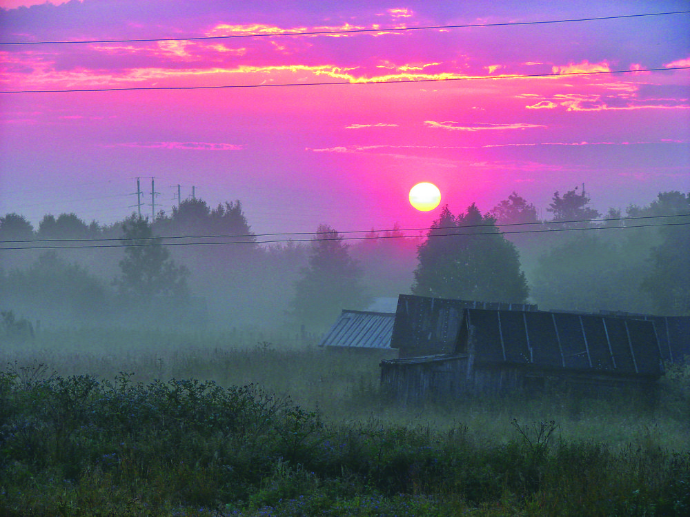 Photo #10253388