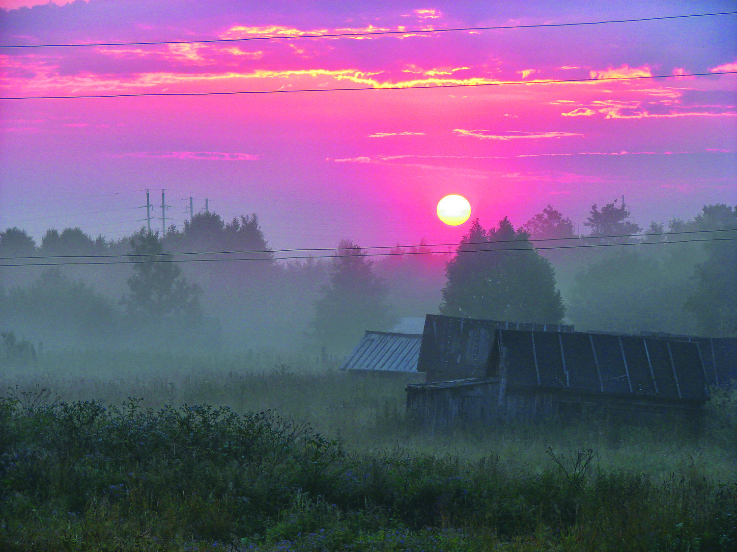 Photo #10253388