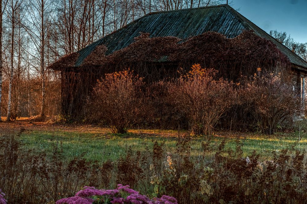 Photograph by Derevyanko Olga