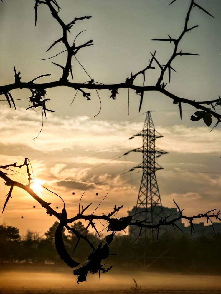 Photograph by Игорь Сапронов