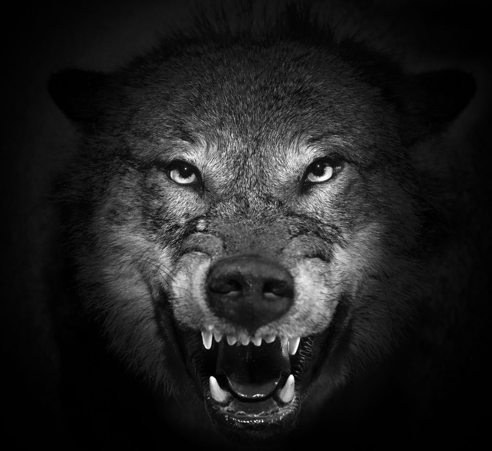 Photograph by Константин Пухов