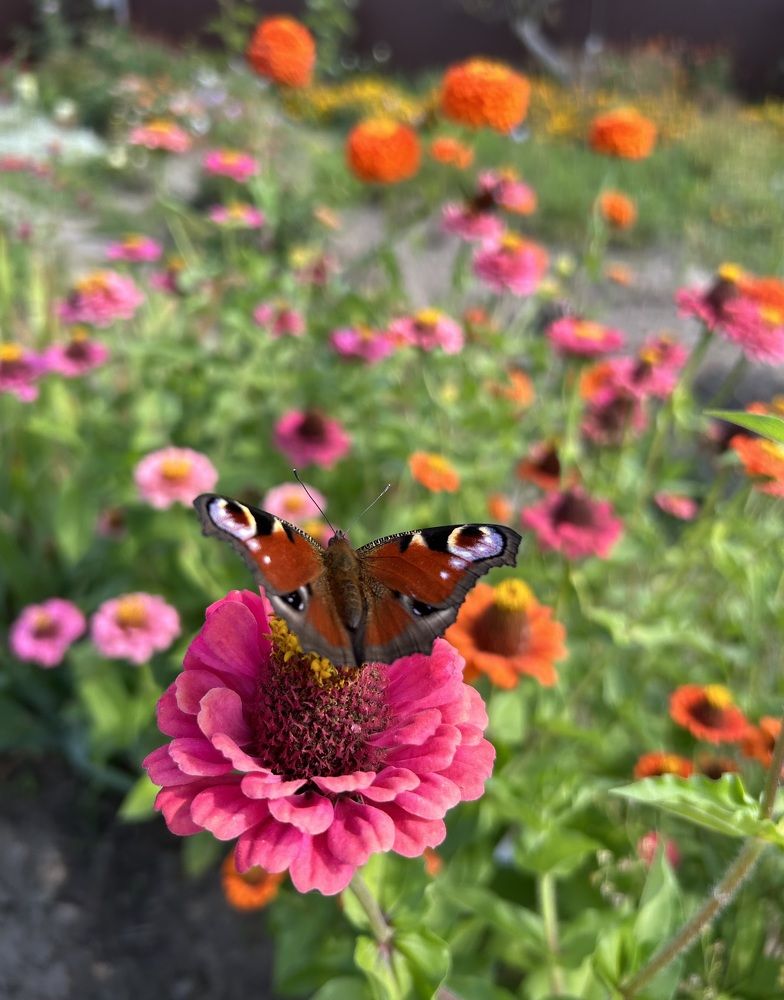 Photograph by Александр