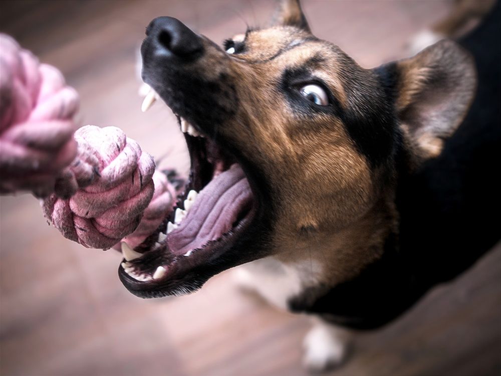 Photograph by Margarita Presidentova