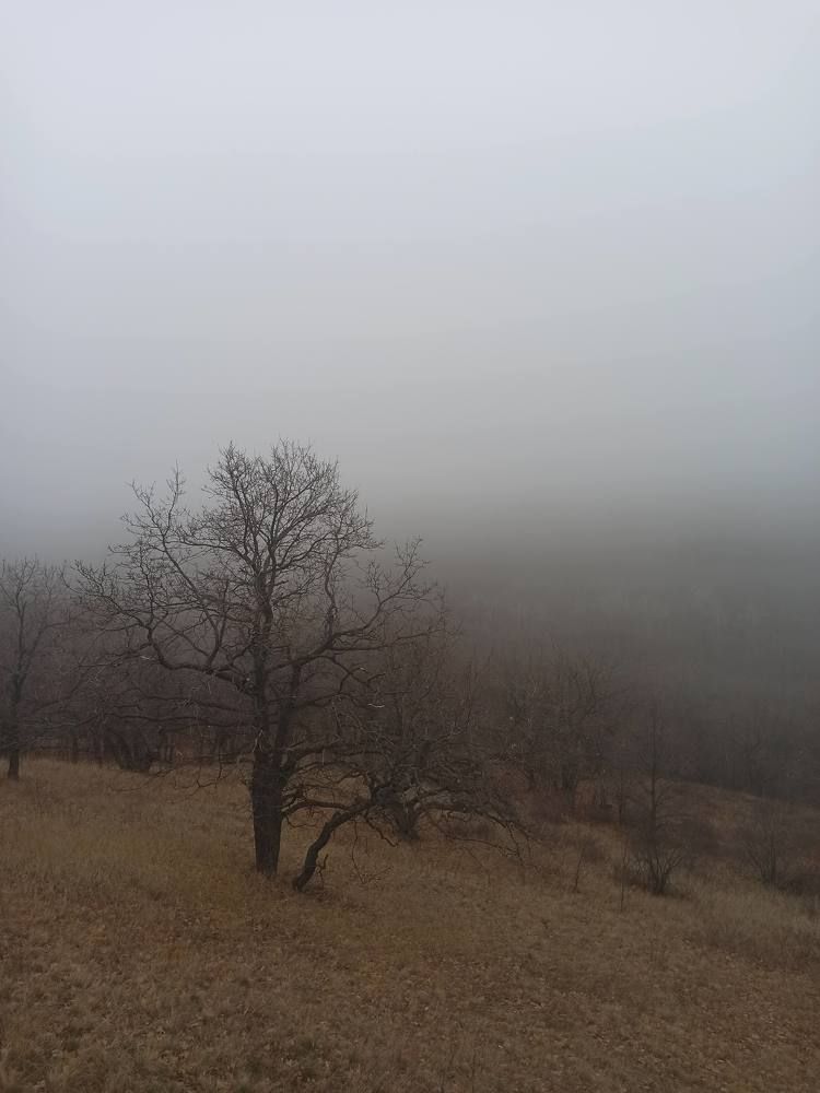 Photograph by Виктория Шереметьева