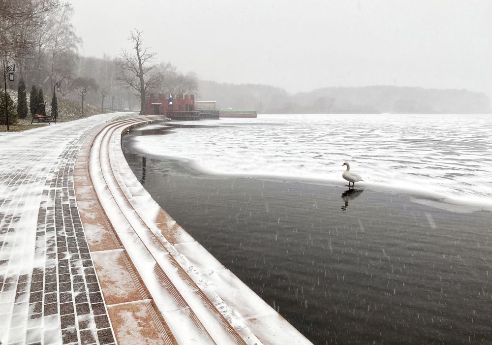 Одиночество