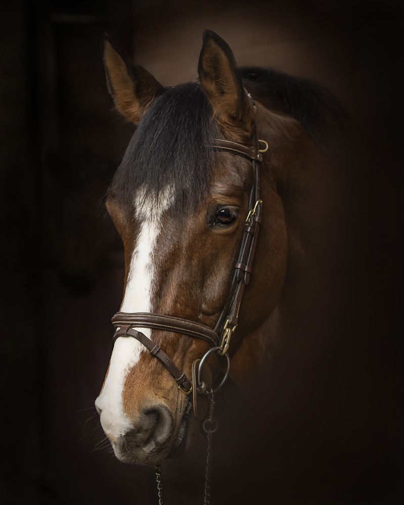 Photograph by Anna Sourny